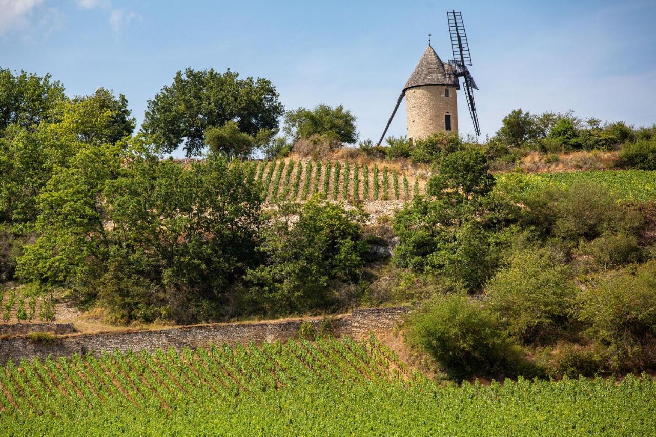 Camping De Santenay Santenay  Luaran gambar