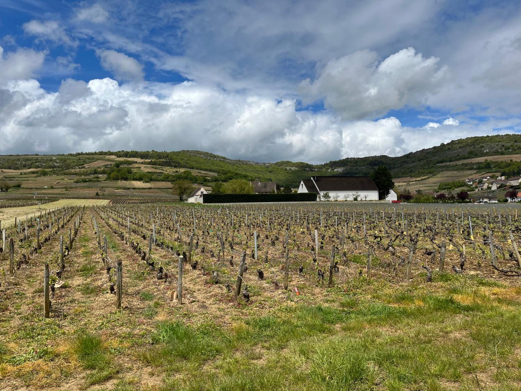 Camping De Santenay Santenay  Luaran gambar
